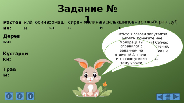 Задание № 1 дуб береза рожь васильки шиповник малина сирень осина ромашка клён Растения: Что-то я совсем запутался! Ребята, помогите мне выполнить задание! Сейчас перед вами список растений, вам нужно разделить их по группам: деревья, кустарники, травы. Деревья: Молодец! Ты справился с заданием на отлично! А значит и хорошо усвоил тему урока! Кустарники: Травы: 