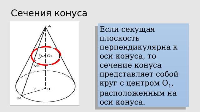 Сечения конуса Если секущая плоскость перпендикулярна к оси конуса, то сечение конуса представляет собой круг с центром О 1 , расположенным на оси конуса. 