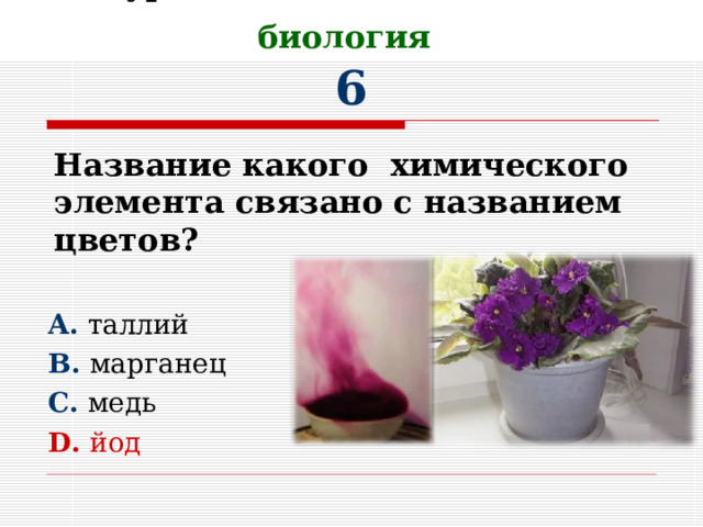 II Тур. Химические элементы и биология   6      A. таллий B. марганец C. медь D. йод Название какого химического элемента связано с названием цветов?  
