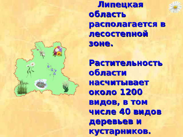  Липецкая область располагается в лесостепной зоне. Растительность области насчитывает около 1200 видов, в том числе 40 видов деревьев и кустарников.    