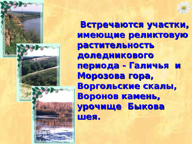  Встречаются участки, имеющие реликтовую растительность доледникового периода - Галичья и Морозова гора, Воргольские скалы, Воронов камень, урочище Быкова шея.   
