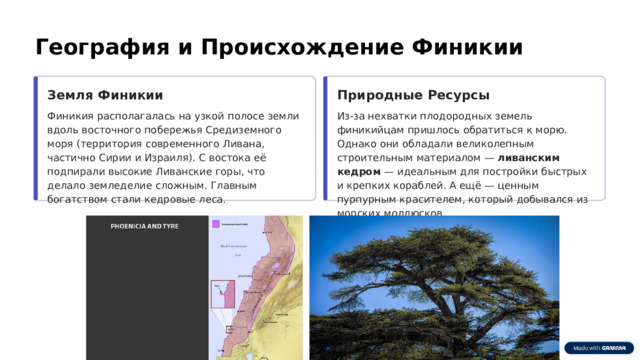  География и Происхождение Финикии Земля Финикии Природные Ресурсы Финикия располагалась на узкой полосе земли вдоль восточного побережья Средиземного моря (территория современного Ливана, частично Сирии и Израиля). С востока её подпирали высокие Ливанские горы, что делало земледелие сложным. Главным богатством стали кедровые леса. Из-за нехватки плодородных земель финикийцам пришлось обратиться к морю. Однако они обладали великолепным строительным материалом — ливанским кедром — идеальным для постройки быстрых и крепких кораблей. А ещё — ценным пурпурным красителем, который добывался из морских моллюсков. 