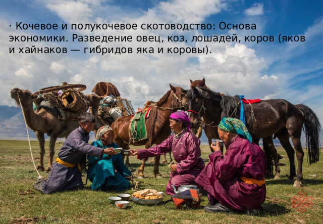 · Кочевое и полукочевое скотоводство: Основа экономики. Разведение овец, коз, лошадей, коров (яков и хайнаков — гибридов яка и коровы). 