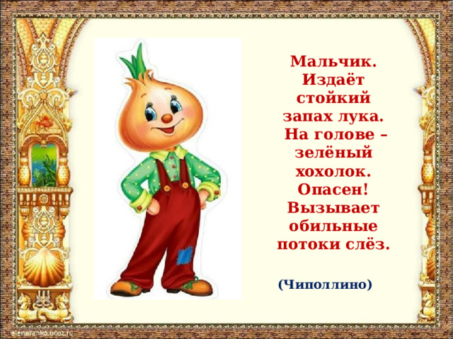 Мальчик. Издаёт стойкий запах лука.  На голове – зелёный хохолок. Опасен! Вызывает обильные потоки слёз. (Чиполлино) 