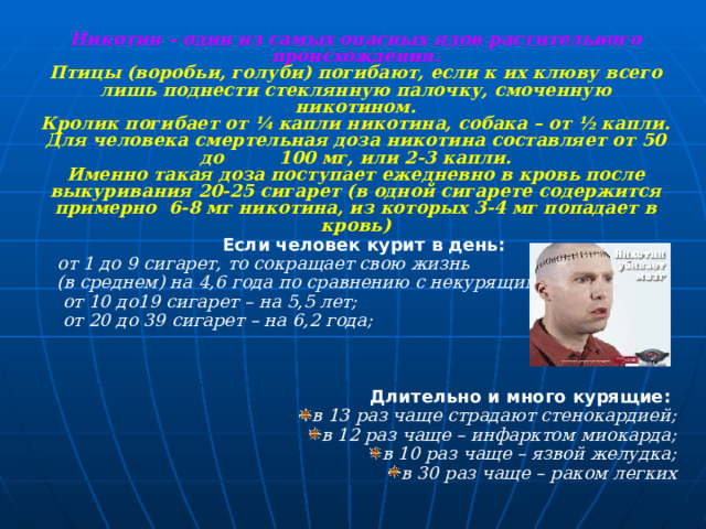Никотин – один из самых опасных ядов растительного происхождения. Птицы (воробьи, голуби) погибают, если к их клюву всего лишь поднести стеклянную палочку, смоченную никотином. Кролик погибает от ¼ капли никотина, собака – от ½ капли. Для человека смертельная доза никотина составляет от 50 до 100 мг, или 2-3 капли. Именно такая доза поступает ежедневно в кровь после выкуривания 20-25 сигарет (в одной сигарете содержится примерно 6-8 мг никотина, из которых 3-4 мг попадает в кровь) Если человек курит в день: от 1 до 9 сигарет, то сокращает свою жизнь (в среднем) на 4,6 года по сравнению с некурящими;  от 10 до19 сигарет – на 5,5 лет;  от 20 до 39 сигарет – на 6,2 года;    Длительно и много курящие: в 13 раз чаще страдают стенокардией; в 12 раз чаще – инфарктом миокарда; в 10 раз чаще – язвой желудка; в 30 раз чаще – раком легких 