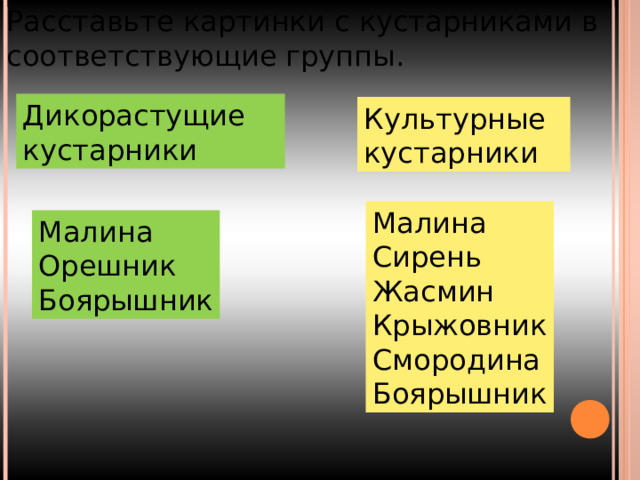 Расставьте картинки с кустарниками в соответствующие группы. Дикорастущие кустарники Культурные кустарники Малина Сирень Жасмин Крыжовник Смородина Боярышник Малина Орешник Боярышник 