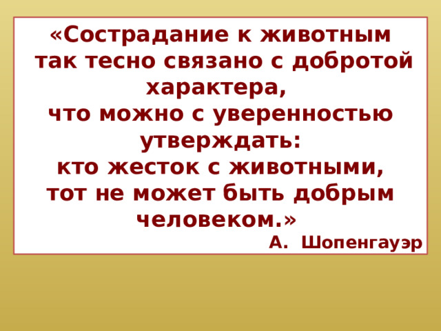 «Сострадание к животным  так тесно связано с добротой характера, что можно с уверенностью утверждать:  кто жесток с животными, тот не может быть добрым человеком.» А. Шопенгауэр 