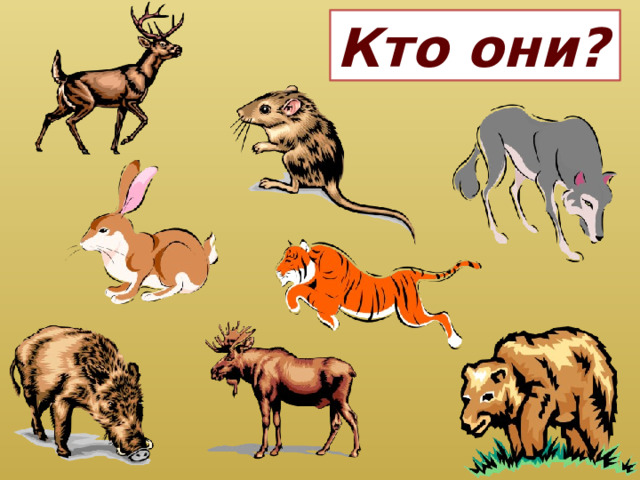 Кто они? 