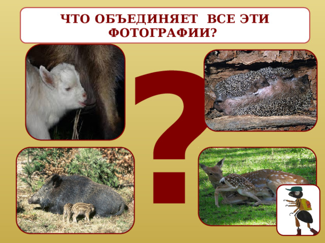 ЧТО ОБЪЕДИНЯЕТ ВСЕ ЭТИ ФОТОГРАФИИ? ? 