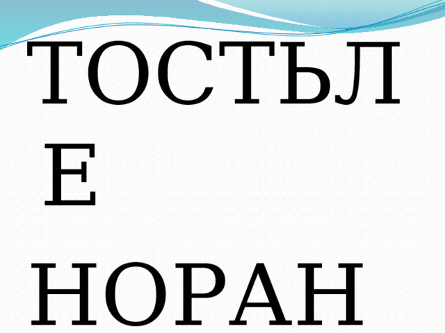 ТОСТЬЛЕ НОРАНТ 