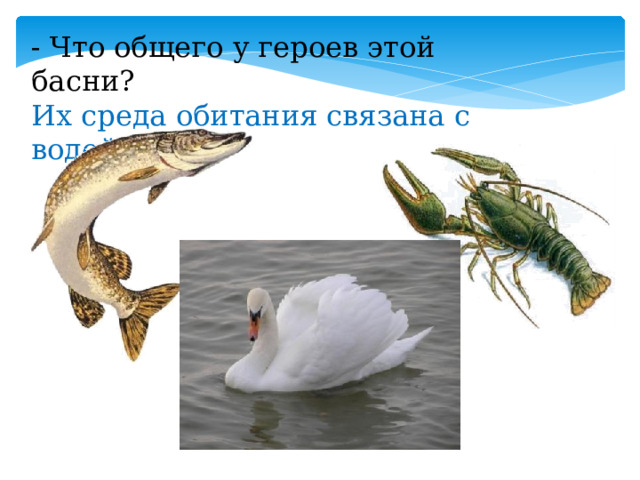 - Что общего у героев этой басни? Их среда обитания связана с водой. 