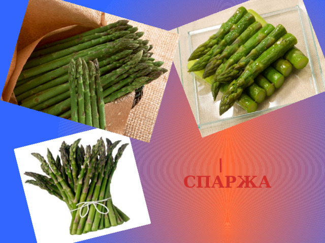 / СПАРЖА 