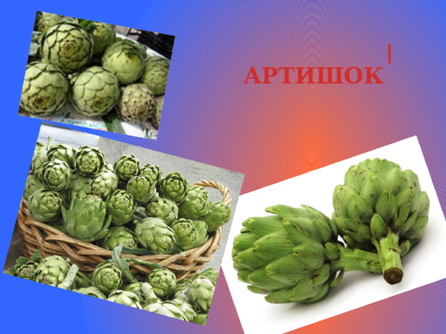 / АРТИШОК 
