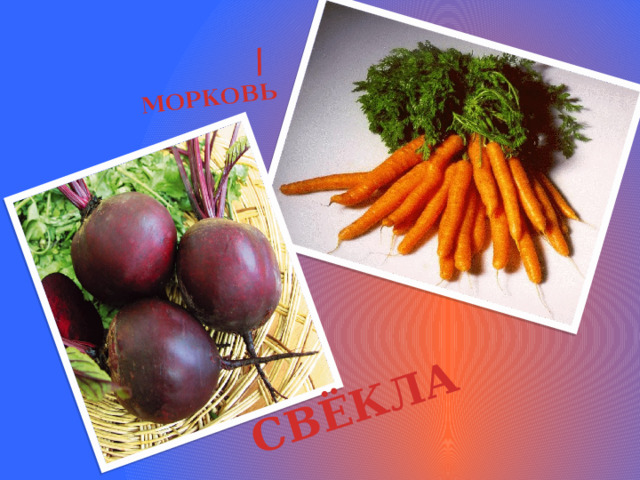 МОРКОВЬ / СВЁКЛА 
