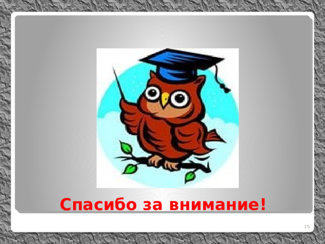 Спасибо за внимание! 11 