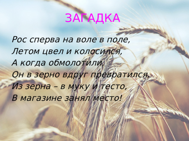 ЗАГАДКА Рос сперва на воле в поле, Летом цвел и колосился, А когда обмолотили, Он в зерно вдруг превратился, Из зерна – в муку и тесто, В магазине занял место! 