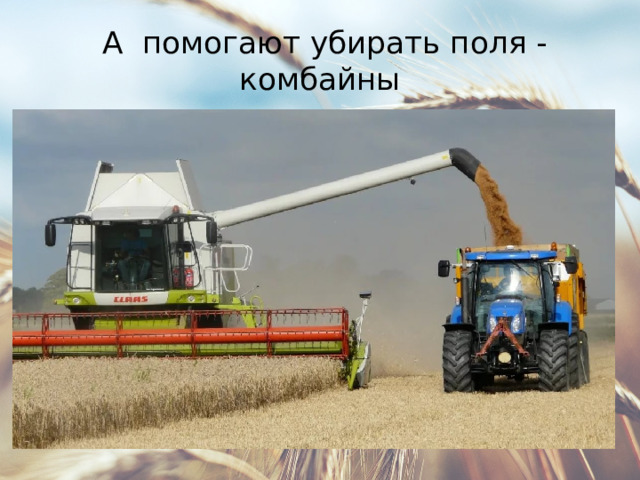  А помогают убирать поля - комбайны 