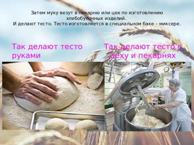 Затем муку везут в пекарню или цех по изготовлению хлебобулочных изделий.  И делают тесто. Тесто изготовляется в специальном баке – миксере. Так делают тесто руками Так делают тесто в цеху и пекарнях 