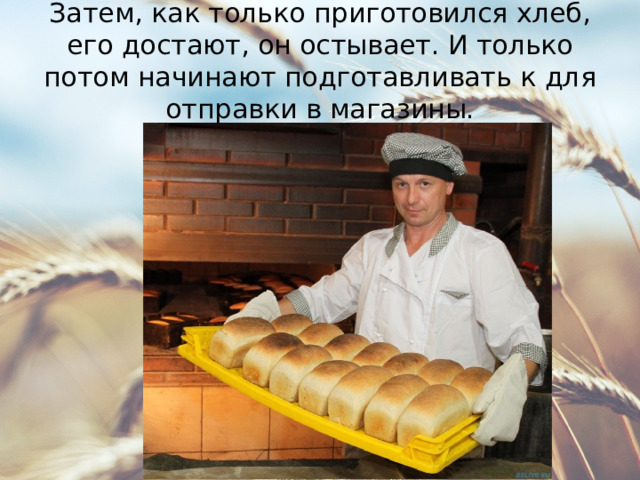 Затем, как только приготовился хлеб, его достают, он остывает. И только потом начинают подготавливать к для отправки в магазины. 