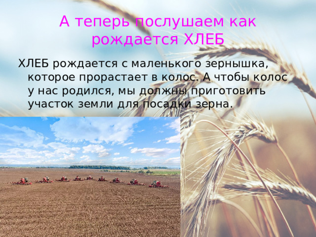 А теперь послушаем как рождается ХЛЕБ ХЛЕБ рождается с маленького зернышка, которое прорастает в колос. А чтобы колос у нас родился, мы должны приготовить участок земли для посадки зерна. 