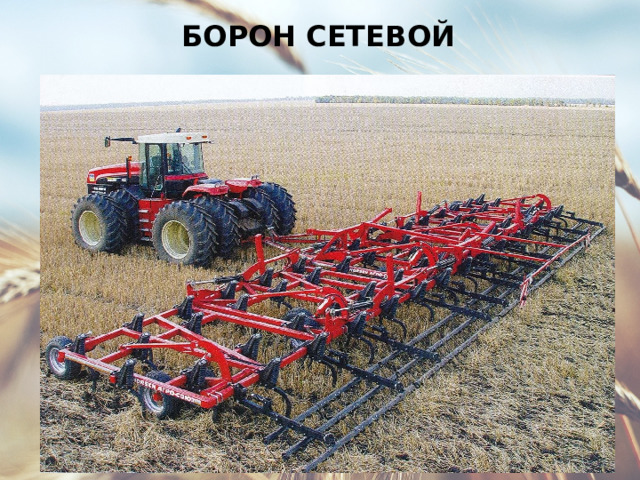 БОРОН СЕТЕВОЙ 