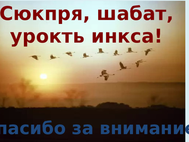 Сюкпря, шабат, урокть инкса! Спасибо за внимание. 