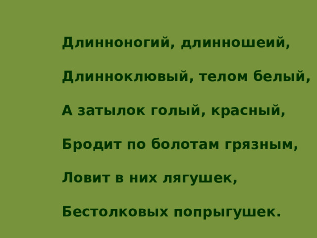 Длинноногий, длинношеий,   Длинноклювый, телом белый,   А затылок голый, красный,   Бродит по болотам грязным,   Ловит в них лягушек,   Бестолковых попрыгушек. 