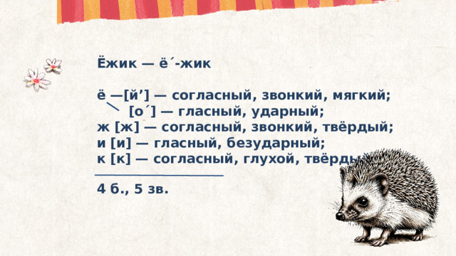 Ёжик — ё´-жик  ё —[й’] — согласный, звонкий, мягкий;  [о´] — гласный, ударный; ж [ж] — согласный, звонкий, твёрдый; и [и] — гласный, безударный; к [к] — согласный, глухой, твёрдый. 4 б., 5 зв. 