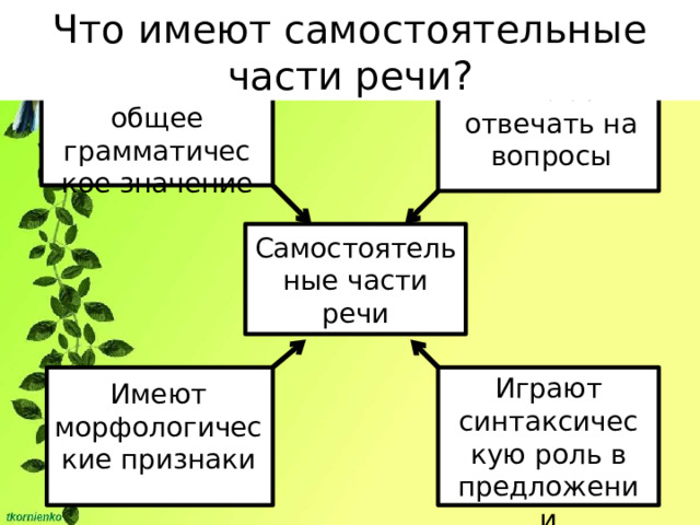 Что имеют самостоятельные части речи? Имеют общее грамматическое значение Умеют отвечать на вопросы Самостоятельные части речи Играют синтаксическую роль в предложении Имеют морфологические признаки 