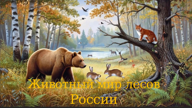 Животный мир лесов России 
