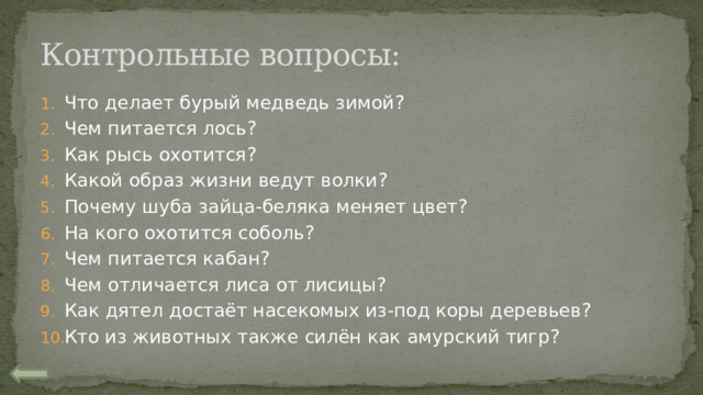 Контрольные вопросы: Что делает бурый медведь зимой? Чем питается лось? Как рысь охотится? Какой образ жизни ведут волки? Почему шуба зайца-беляка меняет цвет? На кого охотится соболь? Чем питается кабан? Чем отличается лиса от лисицы? Как дятел достаёт насекомых из-под коры деревьев? Кто из животных также силён как амурский тигр? 