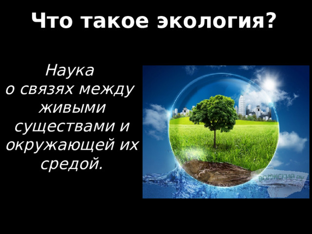 Что такое экология? Наука о связях между живыми существами и окружающей их средой. 
