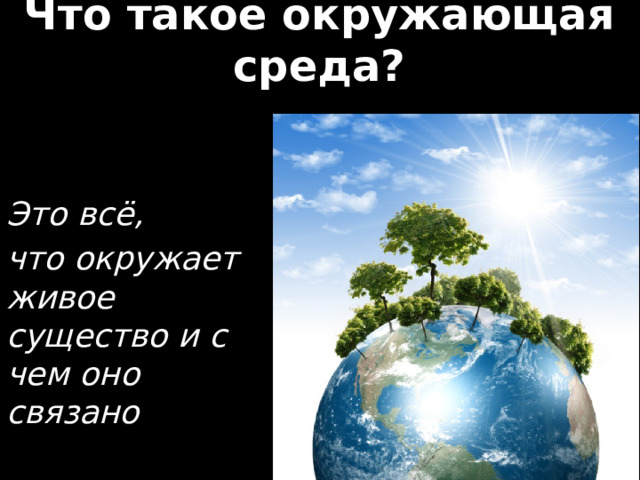 Что такое окружающая среда? Это всё, что окружает живое существо и с чем оно связано 