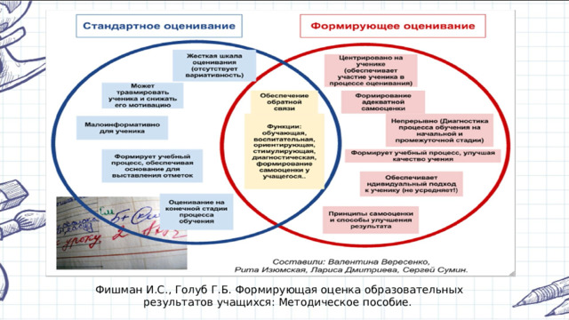 Фишман И.С., Голуб Г.Б. Формирующая оценка образовательных результатов учащихся: Методическое пособие. 