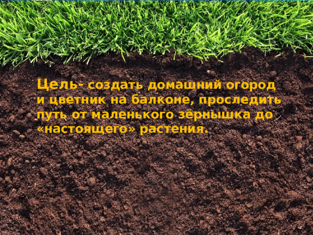 Цель- создать домашний огород и цветник на балконе, проследить путь от маленького зёрнышка до «настоящего» растения. 