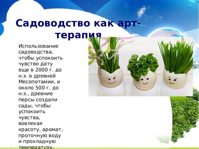 Садоводство как арт-терапия Использование садоводства, чтобы успокоить чувство дату еще в 2000 г. до н.э. в древней Месопотамии, и около 500 г. до н.э., древние персы создали сады, чтобы успокоить чувства, вовлекая красоту, аромат, проточную воду и прохладную температуру.  Визуальные эстетика растений , как известно, вызывают чувство внутреннего мира, который генерирует положительные эмоции в сторону осмысленного курса жизни.  