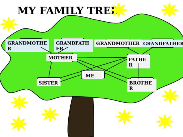 MY FAMILY TREE GRANDMOTHER GRANDFATHER GRANDMOTHER GRANDFATHER MOTHER FATHER ME SISTER BROTHER 