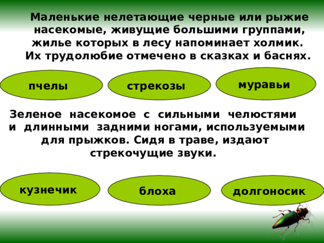 Маленькие нелетающие черные или рыжие  насекомые, живущие большими группами, жилье которых в лесу напоминает холмик. Их трудолюбие отмечено в сказках и баснях.  муравьи пчелы  стрекозы   Зеленое насекомое с сильными челюстями  и длинными задними ногами, используемыми  для прыжков. Сидя в траве, издают стрекочущие звуки. кузнечик  блоха  долгоносик  