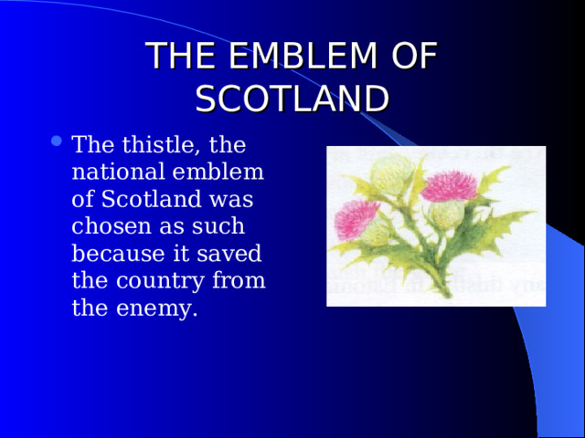 THE EMBLEM OF SCOTLAND The thistle, the national emblem of Scotland was chosen as such because it saved the country from the enemy. 
