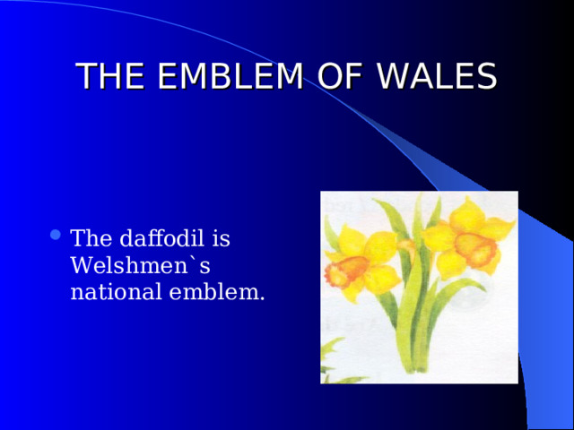 THE EMBLEM OF WALES The daffodil is Welshmen`s national emblem. 