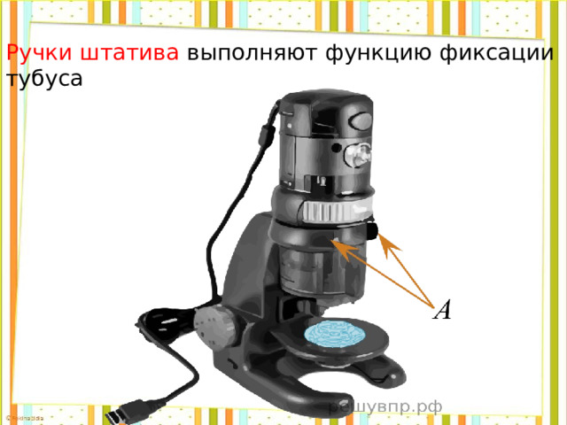 Ручки штатива выполняют функцию фиксации тубуса 