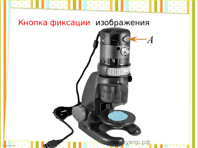  Кнопка фиксации изображения 
