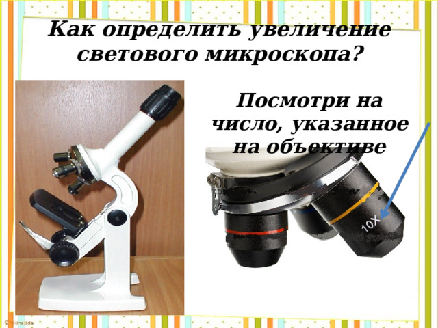 Как определить увеличение светового микроскопа? Посмотри на число, указанное на объективе 
