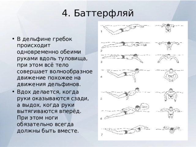 4. Баттерфляй   В дельфине гребок происходит одновременно обеими руками вдоль туловища, при этом всё тело совершает волнообразное движение похожее на движения дельфинов. Вдох делается, когда руки оказываются сзади, а выдох, когда руки вытягиваются вперёд. При этом ноги обязательно всегда должны быть вместе. 