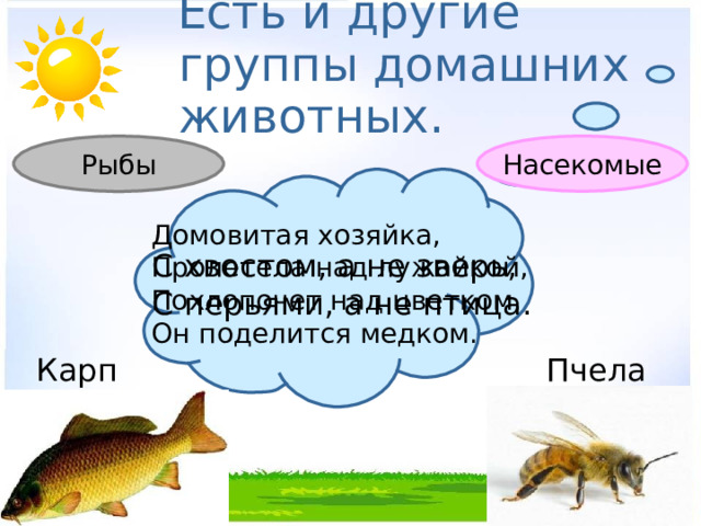  Есть и другие группы домашних животных. Насекомые Рыбы Домовитая хозяйка, Пролетела над лужайкой, Похлопочет над цветком, Он поделится медком. С хвостом, а не зверь, С перьями, а не птица. Карп Пчела 