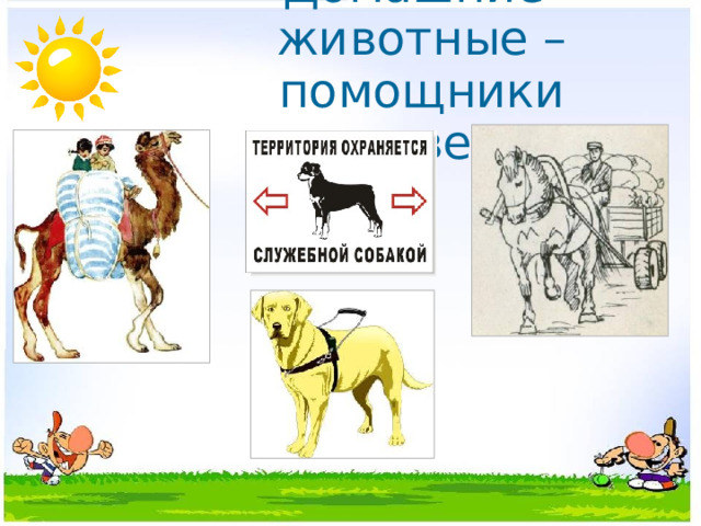 Домашние животные – помощники человека. 