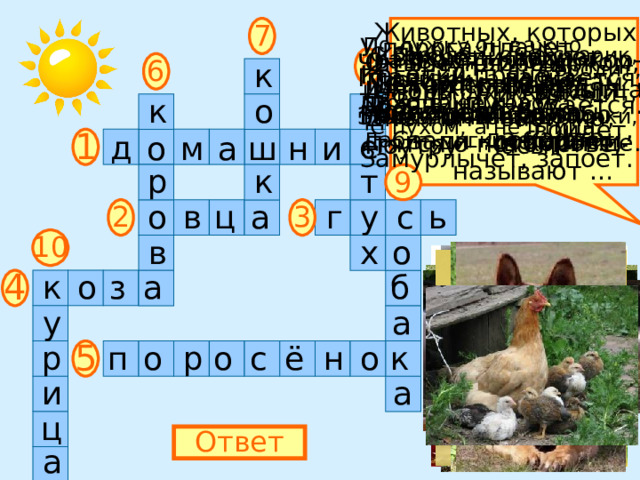 7 Животных, которых разводят люди, кор- мят их, строят для них жилища, забо- тятся о потомстве,  называют … По лужку он важно  бродит, Из воды сухим выходит, Носит красные ботинки, Дарит мягкие перинки. У порога плачет, Коготки прячет, Тихо в комнату  войдёт, Замурлычет, запоёт. Посреди двора Стоит копна. Спереди – вилы, Сзади – метла. С бородой, а не старик, С рогами, а не бык, Доят, а не корова, С пухом, а не птица. Квохчет, квохчет, Детей созывает, Всех под крыло  собирает. Он в мундире ярком, Шпоры для красы. Днём он – забияка, Поутру – часы. 8 Четыре грязных  копытца Залезли прямо  в корытце. 6 к Гладишь – ласкается, Дразнишь – кусается. По горам, по долам Ходит шуба,  да кафтан. п к о 1 е д ш а м н и о 9 т р к ц у в о г а с ь 3 2 1 0 о х в к б з о 4 а а у с ё р 5 о н о к о р п а и ц Ответ а 
