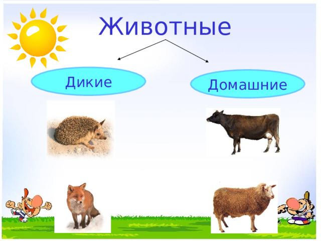 Животные Дикие Домашние 