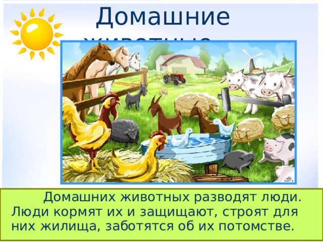  Домашние животные.     Домашних животных разводят люди. Люди кормят их и защищают, строят для них жилища, заботятся об их потомстве. 