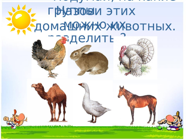  Назови этих домашних животных.  Подумай, на какие группы  можно их разделить ? 